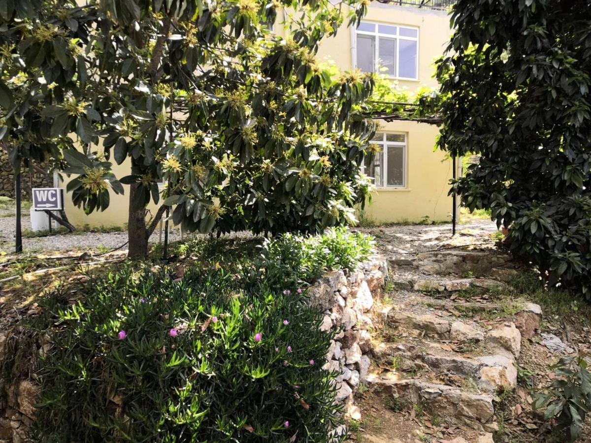 Zeytinada Pansiyon Ve Goezleme Guneykoy Eksteriør billede